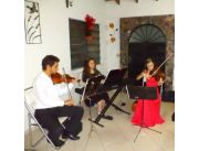 Música con orquesta de violines para Bodas, 15 años!!