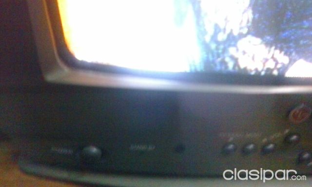 Vendo Televisor 14 Pulgada