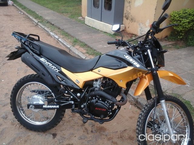 Moto kenton online shark