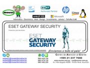 ESET GATEWAY SECURITY