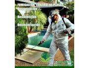 FUMIGACIÓN. EXTERMINIO DE PLAGAS. FUMIGACIONES EMPRESAS INDUSTRIAS CASA HOGAR