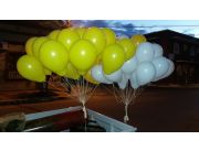 pororo para sus eventos contacto y contratacion servicios de inflados de globos a gas