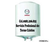 ////////////////////// SERVICIOS DE TERMO CALEFON //////////////////////////