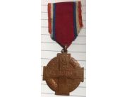 Coleccionable medalla cruz del defensor vendo