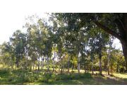 Lindo terreno en Atyra de casi 3 hectareas Lindo terreno en Atyra de casi 3 hectareas