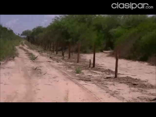 Propiedades rurales - BAJAMOS PRECIO !!! CAMPO DE APROX. 8.000HAS ZONA GRAL DIAZ FRONTERA CON ARGENTINA (SÓLO INTERESADOS)