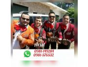 MARIACHI CON STILO en LUQUE!!