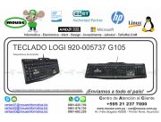 TECLADO LOGI 920-005737 G105