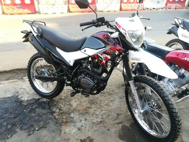 Moto best sale shark 150