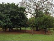 VENDO 4 hectáreas en Loma Grande,Ruta Nueva Colombia-Loma Grande. Camino a Altos. VENDO 4 hectáreas en Loma Grande,Ruta Nueva Colombia-Loma Grande. Camino a Altos.