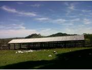 VENDO HERMOSA PROPIEDAD DE 35 HECTÁREAS EN PARAGUARI. VENDO HERMOSA PROPIEDAD DE 35 HECTÁREAS EN PARAGUARI.