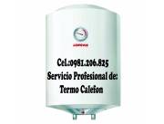 TERMO CALEFON SERVIS