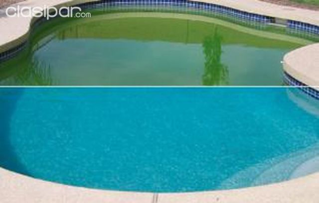 Oficios / Técnicos / Profesionales - Si el agua de su piscina está verde llamenos - limpieza de piscina