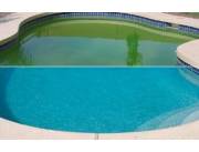 Si el agua de su piscina está verde llamenos - limpieza de piscina