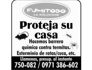 Fumigación contra dengues hacemos trizas al mosquitos usamos el mejor producto. Fumigación contra dengues hacemos trizas al mosquitos usamos el mejor producto.