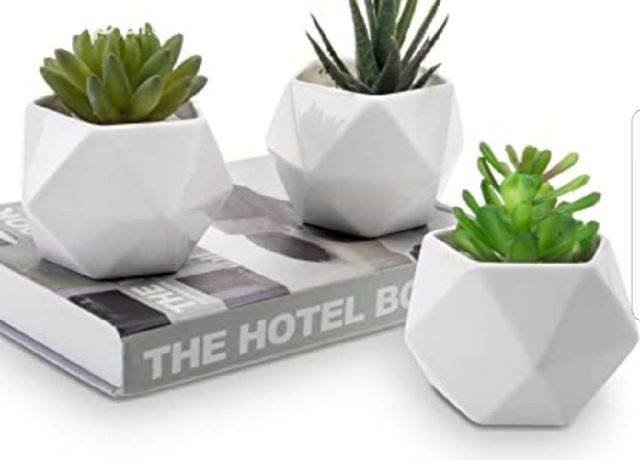 Fabrico macesitas para cactus y suculentas!! | Clasipar Decoración para el hogar - Fabrico macesitas para cactus y suculentas!!