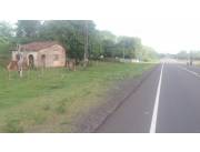 Terreno sobre ruta asfaltada en Pirayu