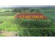Terreno sobre Ruta 5,5 hectáreas Mecanizadas Minga Guazu 550,000 USD