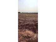 60 HECTÁREAS EN MINGA GUAZU KM 24 A ORILLAS DEL LAGO AKARAY IMPERDIBLE !! 60 HECTÁREAS EN MINGA GUAZU KM 24 A ORILLAS DEL LAGO AKARAY IMPERDIBLE !!