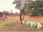 Limpieza de terreno Limpieza de terreno
