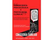 Consejería Psicológica - Psicología Clínica - Terapia Individual