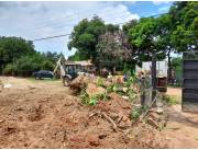 LIMPIEZA DE TERRENOS BALDIOS EN ASUNCION Y TODO EL AREA CENTRAL PODA Y DESTRONQUES