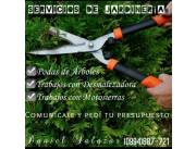 Servicio de Jardinería