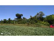 Vendo 23 hectáreas en Lapachal, Obligado km 33