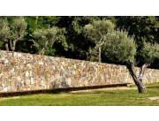 Muros de piedra rústicas Revestido de murallas O paredes fachadas para todo el pais