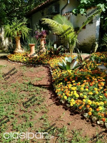 Cuidado del jardín - Paisajismo jardineria jardin mantenimiento pasto