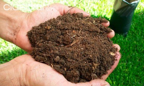 Cuidado del jardín - Abono fertilizante pasto humus organico