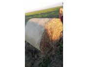 Fardo de trigo y sorgo Fardo de trigo y sorgo