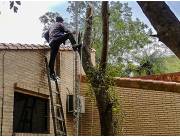 LIMPIEZA, PODA Y DESTRONQUE DE ÁRBOLES CON RETIRO