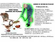 FUMIGACION & DESINFECCION INTEGRAL, ATENCION 24/7!!!