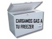 Carga Gas Heladera Congelagor Freezer Capiata