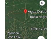 AGUA DULCE – ALTO PARAGUAY – CHACO: 7.800 HAS, A DESARROLLAR, EXCELENTE OPORTUNIDAD.