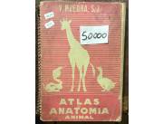 Vendo Atlas anatomía animal