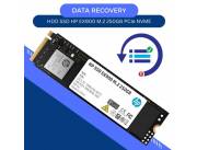 DATA RECOVERY HDD SSD 250GB HP EX900 M.2 NVME