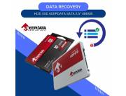 DATA RECOVERY HDD SSD 480GB KEEPDATA 2.5"