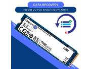 DATA RECOVERY HDD SSD 250GB KINGSTON M.2 NVME*