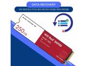 DATA RECOVERY HD SSD M.2 PCIE 250GB WD NVME WDS250G1R0C RED SN700 3100/1600