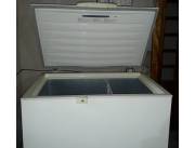 Freezer Electrolux capacidad 320L Freezer Electrolux capacidad 320L