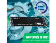 RECUPERACIÓN DE DATOS HD SSD M.2 PCIE 256GB PNY CS1031 NVME M280CS1031-256-CL 1700/1100