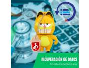 RECUPERACIÓN DE DATOS PENDRIVE 8GB - DISEÑO GARFIELD DIENTES