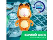 RECUPERACIÓN DE DATOS PENDRIVE 8GB - DISEÑO GARFIELD OJOS