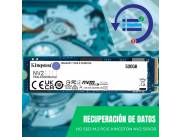 RECUPERACIÓN DE DATOS HD SSD M.2 PCIE 500GB KINGSTON SNV2S NVME SNV2S/500G 3500/2100