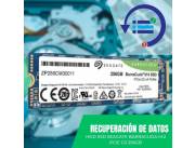 RECUPERACIÓN DE DATOS HDD SSD 256GB SEAGATE M.2 PCIE G3