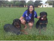 Rottweiler Registrados del Paraguay Kennel Club