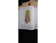 Vendo libro de Medicina Anatomia de Latarjet