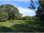 Campo Ganadero/Forestal en San Ignacio - 32 Ha.